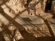 Le Manuel d’Histoire et de Civilisation du Maroc : Une ressource indispensable pour les étudiants maghrébins de la diaspora manuel dhistoire civilisation maroc featured image