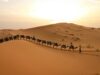 1001 questions sur le Maroc : une application interactive qui fait redécouvrir notre patrimoine Woman using interactive Moroccan heritage app, exploring cultural sites in Marrakech