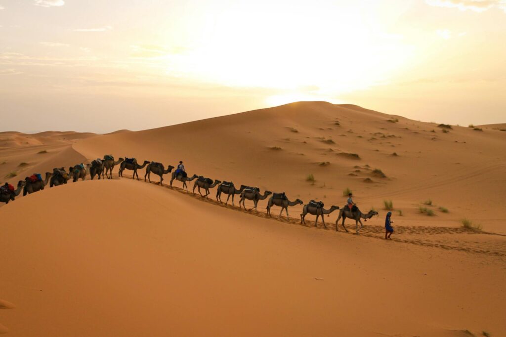 1001 questions sur le Maroc : une application interactive qui fait redécouvrir notre patrimoine