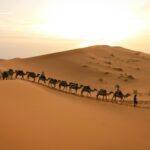1001 questions sur le Maroc : une application interactive qui fait redécouvrir notre patrimoine