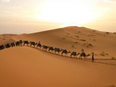 1001 questions sur le Maroc : une application interactive qui fait redécouvrir notre patrimoine Woman using interactive Moroccan heritage app, exploring cultural sites in Marrakech