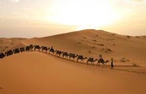 1001 questions sur le Maroc : une application interactive qui fait redécouvrir notre patrimoine Woman using interactive Moroccan heritage app, exploring cultural sites in Marrakech