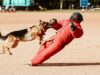 Rage à Perpignan : l’homme mort et le mystère du chien marocain Vieillard attachant son chien marocain à Perpignan, avec un suspect mystérieux derrière eux