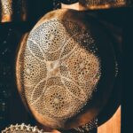 Artisanat marocain en pleine lumière à Bruxelles – Salon SMAP IMMO