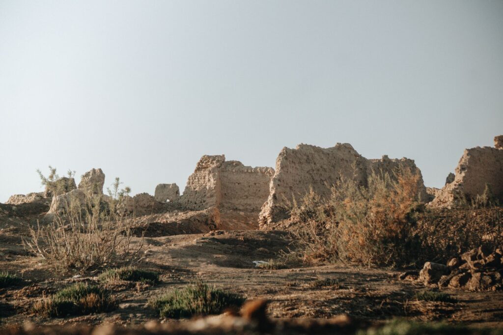 Les patrimoines rupestres du Maroc : Es-Semara, Marrakech et Tanger