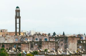 À 2h de Paris, une ville tunisienne devient un paradis pour les retraités Tunisian city paradise for pensioners with picturesque streets and retirees enjoying their new life