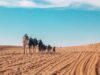 Le tourisme marocain se développe avec Dakhla au Maroc : un challenge de vente pour agents de voyage lancé par DIGITRIPS Pro et l’Office National Marocain du Tourisme Agents de voyage explorant Dakhla au Maroc, une plage de sable fin et de palmiers
