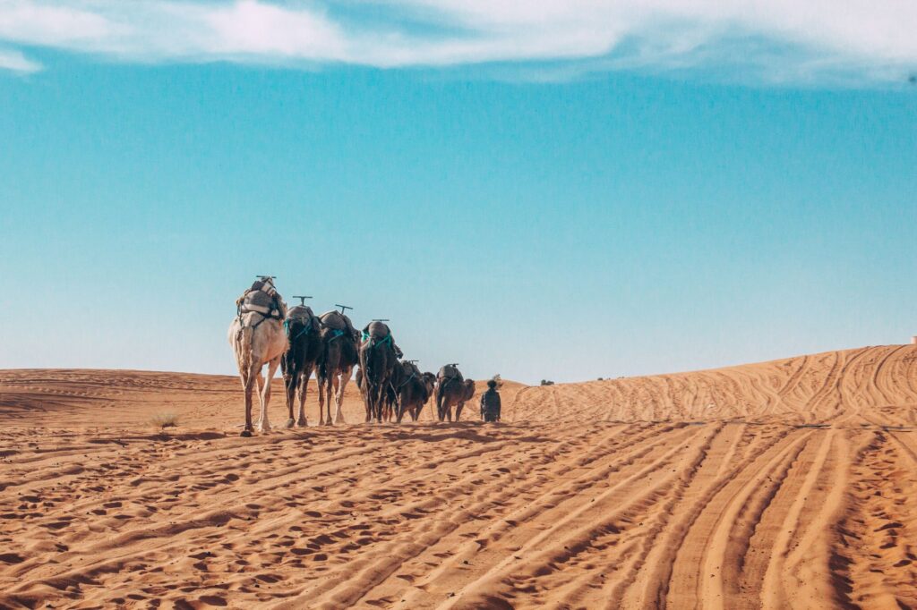 Le tourisme marocain se développe avec Dakhla au Maroc : un challenge de vente pour agents de voyage lancé par DIGITRIPS Pro et l’Office National Marocain du Tourisme