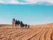 Le tourisme marocain se développe avec Dakhla au Maroc : un challenge de vente pour agents de voyage lancé par DIGITRIPS Pro et l’Office National Marocain du Tourisme Agents de voyage explorant Dakhla au Maroc, une plage de sable fin et de palmiers