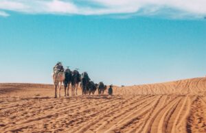 Le tourisme marocain se développe avec Dakhla au Maroc : un challenge de vente pour agents de voyage lancé par DIGITRIPS Pro et l’Office National Marocain du Tourisme Agents de voyage explorant Dakhla au Maroc, une plage de sable fin et de palmiers