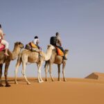 Mobilité durable au Maroc : conseils et modes d’emploi pour un voyage eco-responsable