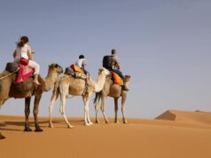Mobilité durable au Maroc : conseils et modes d’emploi pour un voyage eco-responsable Family exploring sustainable travel options in Morocco