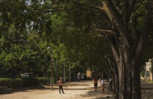 Canicule : mesures pour protéger les enfants en France Enfants à l'ombre : protection pendant une canicule en France