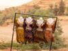 Marocain Hind Joudar : Dialogue interculturel dans le monde de la mode Marocain Hind Joudar showcasing refined intercultural fashion with Berber, Arab and Western influences
