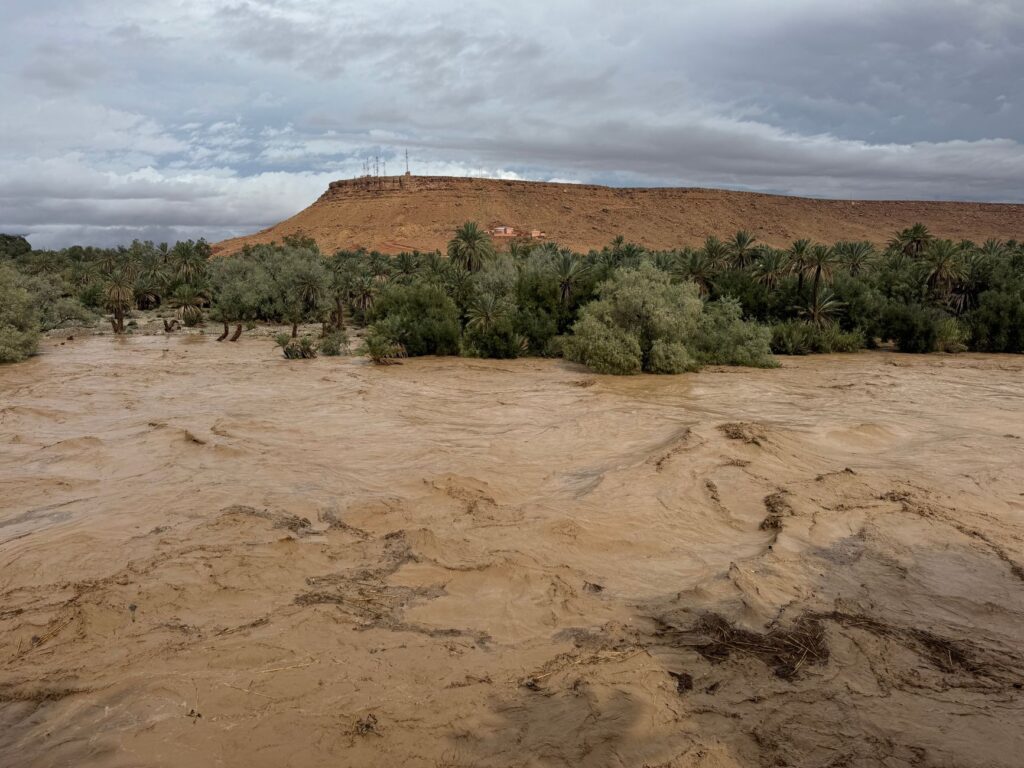 Deux catastrophes naturelles ravagent le Maroc et la Libye : comment les communautés maghrébines se mobilisent en aide
