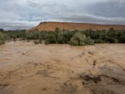 Deux catastrophes naturelles ravagent le Maroc et la Libye : comment les communautés maghrébines se mobilisent en aide Maghrebi community members providing aid to victims of natural disasters in Morocco