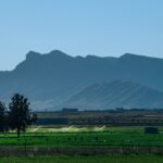 Algérie déploie sa vitrine du tourisme durable en 2026 : Une invitation à redécouvrir notre berceau culturel