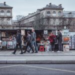 Le Paris des Arts à Fès : une exploration culturelle du Maroc
