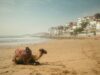 Le Maroc : Une destination sûre dans une région en conflit Famille maghrébine visitant une plage au Maroc