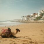 Le Maroc : Une destination sûre dans une région en conflit