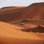 Le Maroc encourage le tourisme pour renforcer son contrôle du Sahara occidental : une stratégie controversée