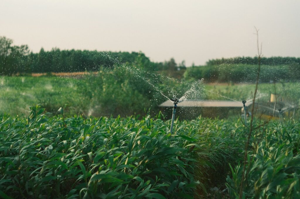 Révolutionnaires techniques d’économie en eau ressuscités dans le Maroc moderne