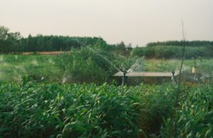 Révolutionnaires techniques d’économie en eau ressuscités dans le Maroc moderne Marocain utilise une technique innovante pour rationnellement utiliser l'eau dans le désert