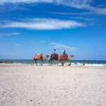 Les meilleures destinations de vacances en Algérie pour l’été 2026