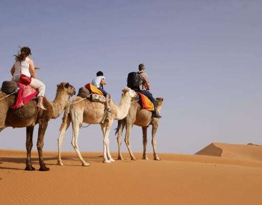 Visiter les 3 circuits naturels du Maroc pour moins de 500 € en juillet – Ouest Famille sur les dunes du Sahara explorant le circuit naturel du Maroc