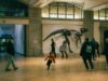 Le musée national d’histoire naturelle algérien : un nouvel espoir pour la culture et la science Famille visitant le musée national d'histoire naturelle algérien à Alger