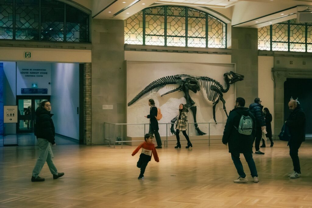 Le musée national d’histoire naturelle algérien : un nouvel espoir pour la culture et la science
