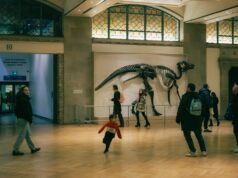 Le musée national d’histoire naturelle algérien : un nouvel espoir pour la culture et la science Famille visitant le musée national d'histoire naturelle algérien à Alger
