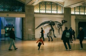 Le musée national d’histoire naturelle algérien : un nouvel espoir pour la culture et la science Famille visitant le musée national d'histoire naturelle algérien à Alger