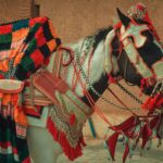 Collaboration culturelle entre l’Andalousie et le Maroc : Nador souligne l’héritage méditerranéen et la mode