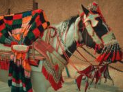 Collaboration culturelle entre l’Andalousie et le Maroc : Nador souligne l’héritage méditerranéen et la mode Women wearing traditional Andalusian and Moroccan clothes in a cultural collaboration event in Nador, showcasing Mediterranea