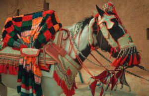 Collaboration culturelle entre l’Andalousie et le Maroc : Nador souligne l’héritage méditerranéen et la mode Women wearing traditional Andalusian and Moroccan clothes in a cultural collaboration event in Nador, showcasing Mediterranea
