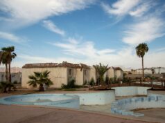 Les oasis du Maghreb : une ressource naturelle en pleine mutation Des palmiers dans une oasis au Maroc en pleine mutation