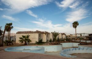 Les oasis du Maghreb : une ressource naturelle en pleine mutation Des palmiers dans une oasis au Maroc en pleine mutation