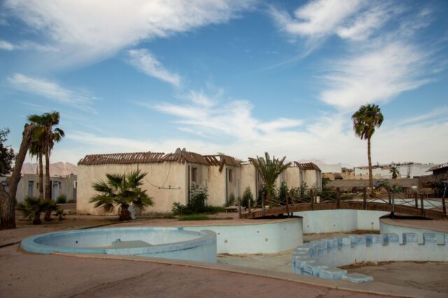 Maroc oasis transformation Des palmiers dans une oasis au Maroc en pleine mutation