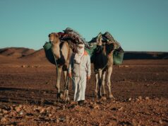 Expo Les Berbères au Maroc : culture et résistance en évolution Exposition Les Berbères au Maroc - Famille visite une exposition sur la culture et la résistance des Berbères au Maroc