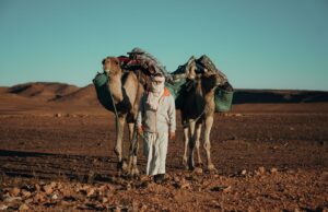 Expo Les Berbères au Maroc : culture et résistance en évolution Exposition Les Berbères au Maroc - Famille visite une exposition sur la culture et la résistance des Berbères au Maroc