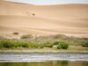 Les oasis marocaines concurrencées par la culture de la pastèque et menacées par l’avance du désert Oasis marocaine avec palmiers sous menace de la progression du désert