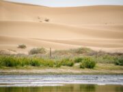 Les oasis marocaines concurrencées par la culture de la pastèque et menacées par l’avance du désert Oasis marocaine avec palmiers sous menace de la progression du désert