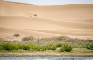 Les oasis marocaines concurrencées par la culture de la pastèque et menacées par l’avance du désert Oasis marocaine avec palmiers sous menace de la progression du désert
