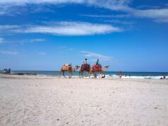 En 2026, la Tunisie reste plus populaire que le Maroc parmi les Français : une analyse du tourisme French tourists enjoying Tunisian beach in 2026