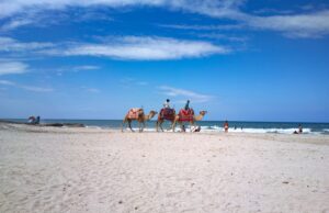 En 2026, la Tunisie reste plus populaire que le Maroc parmi les Français : une analyse du tourisme French tourists enjoying Tunisian beach in 2026