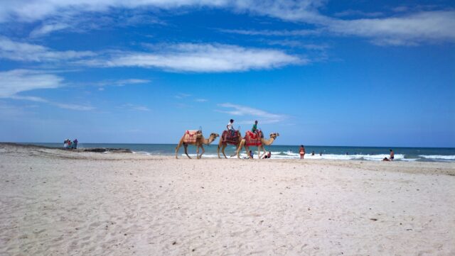 French tourists enjoying Tunisian beach in 2026
