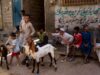 Préparation du Maroc pour la fête musulmane du sacrifice 2026 : Aïd el-Kébir ou Aïd al-Adha Marocain en train de préparer un agneau pour Aïd al-Adha