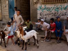 Préparation du Maroc pour la fête musulmane du sacrifice 2026 : Aïd el-Kébir ou Aïd al-Adha Marocain en train de préparer un agneau pour Aïd al-Adha