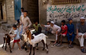 Préparation du Maroc pour la fête musulmane du sacrifice 2026 : Aïd el-Kébir ou Aïd al-Adha Marocain en train de préparer un agneau pour Aïd al-Adha